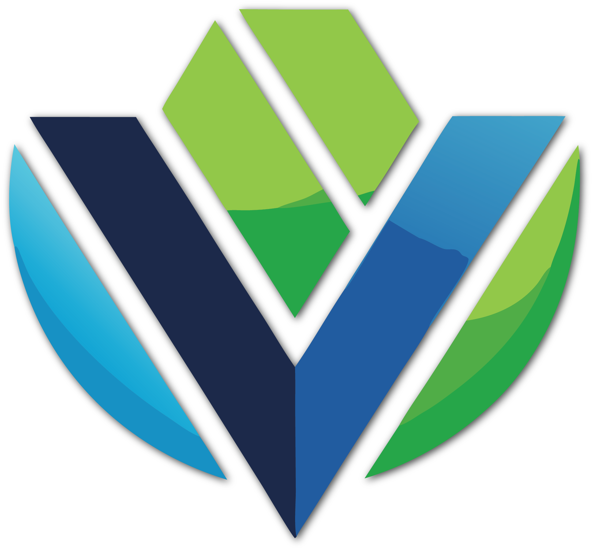 Vidal Outdoor Concepts